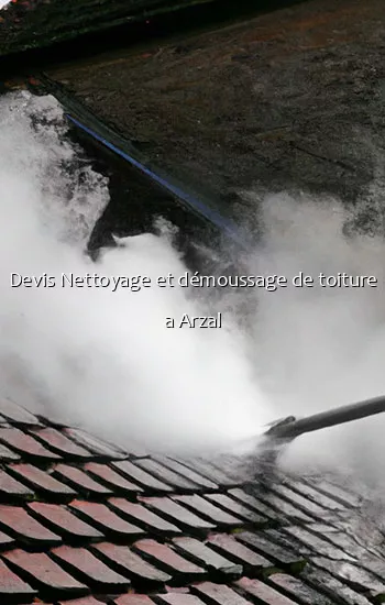 Devis Nettoyage et démoussage de toiture a Arzal