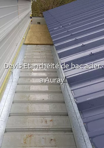 Devis Etanchéité de bac acier a Auray