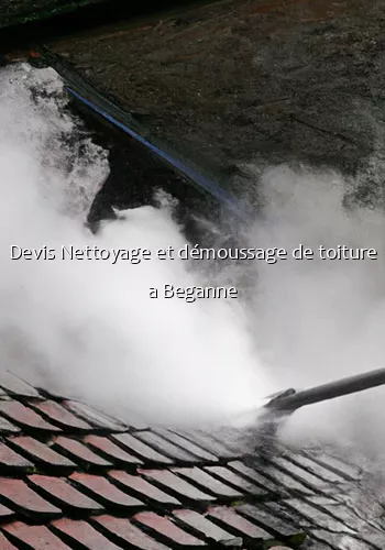 Devis Nettoyage et démoussage de toiture a Beganne