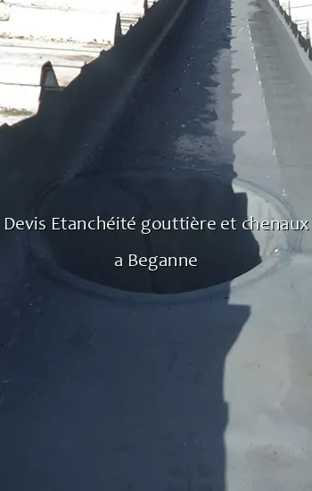 Devis Etanchéité gouttière et chenaux a Beganne