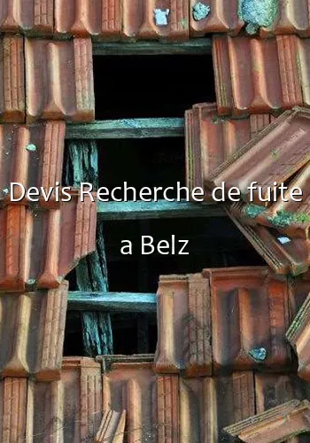 Devis Recherche de fuite a Belz