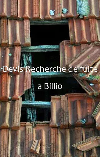 Devis Recherche de fuite a Billio