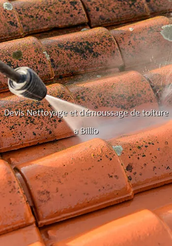 Devis Nettoyage et démoussage de toiture a Billio