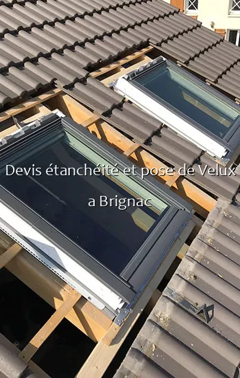 Devis étanchéité et pose de Velux a Brignac