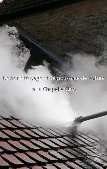 Devis Nettoyage et démoussage de toiture a La Chapelle Caro