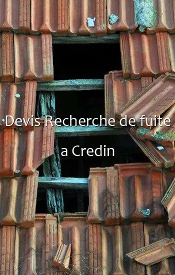 Devis Recherche de fuite a Credin