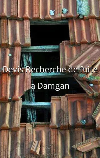 Devis Recherche de fuite a Damgan