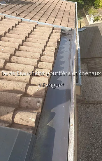 Devis Etanchéité gouttière et chenaux a Evriguet