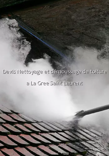 Devis Nettoyage et démoussage de toiture a La Gree Saint Laurent