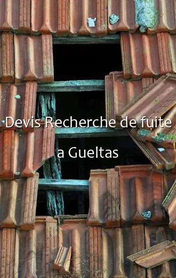 Devis Recherche de fuite a Gueltas