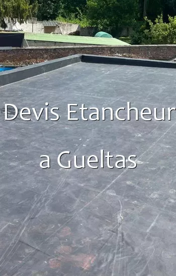 Devis Etancheur a Gueltas