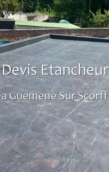 Devis Etancheur a Guemene Sur Scorff