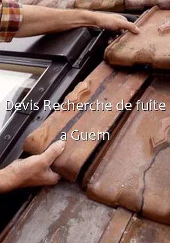 Devis Recherche de fuite a Guern