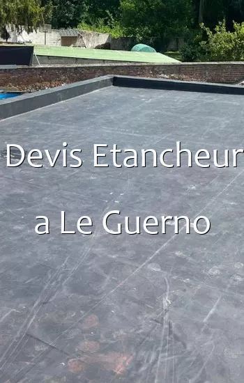 Devis Etancheur a Le Guerno