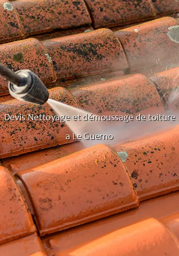 Devis Nettoyage et démoussage de toiture a Le Guerno