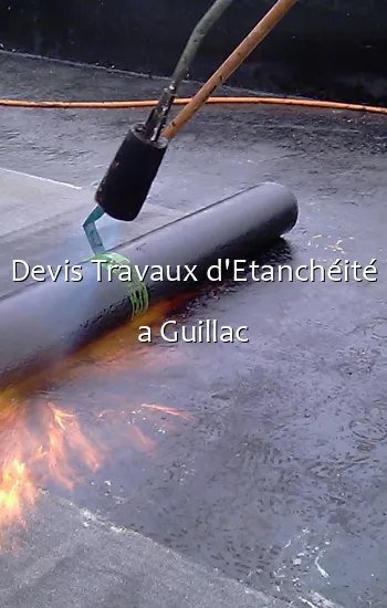 Devis Travaux d'Etanchéité a Guillac