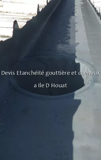 Devis Etanchéité gouttière et chenaux a Ile D Houat