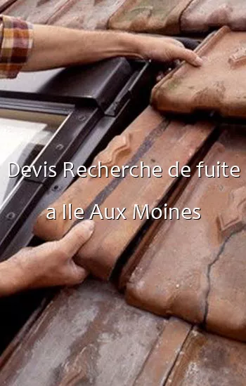 Devis Recherche de fuite a Ile Aux Moines