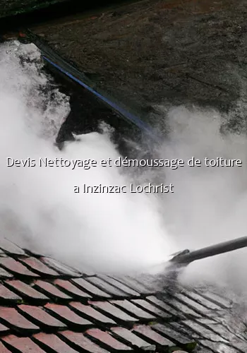 Devis Nettoyage et démoussage de toiture a Inzinzac Lochrist