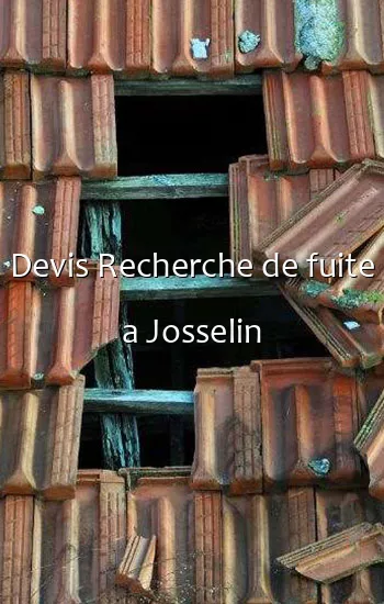 Devis Recherche de fuite a Josselin