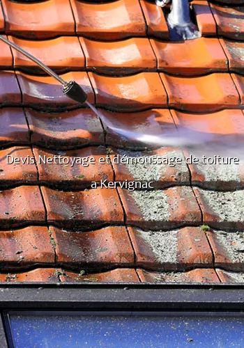 Devis Nettoyage et démoussage de toiture a Kervignac