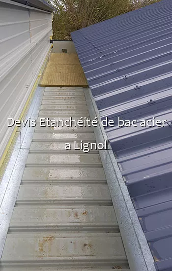 Devis Etanchéité de bac acier a Lignol