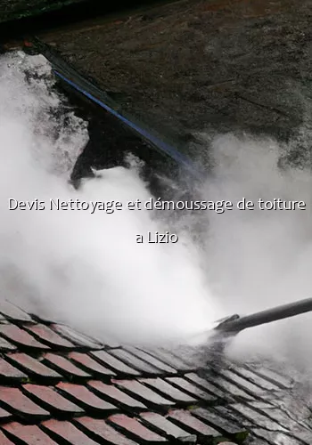 Devis Nettoyage et démoussage de toiture a Lizio