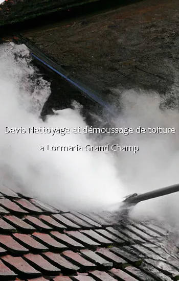 Devis Nettoyage et démoussage de toiture a Locmaria Grand Champ