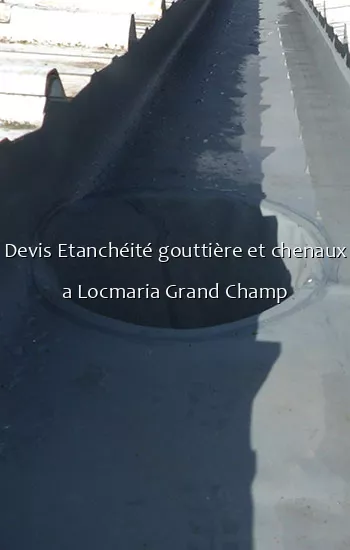 Devis Etanchéité gouttière et chenaux a Locmaria Grand Champ