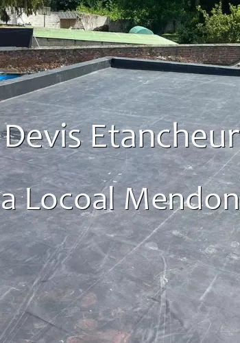 Devis Etancheur a Locoal Mendon