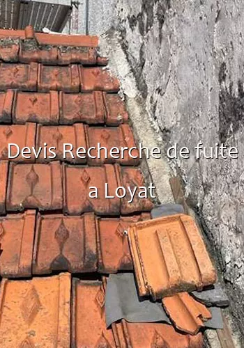 Devis Recherche de fuite a Loyat