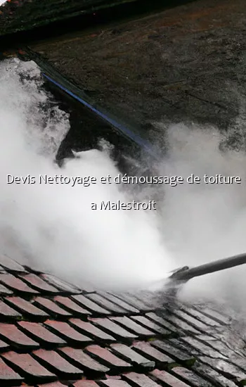 Devis Nettoyage et démoussage de toiture a Malestroit