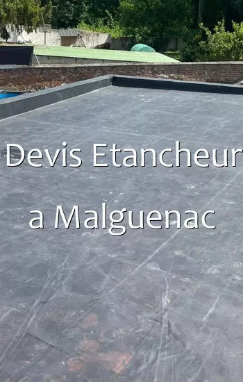 Devis Etancheur a Malguenac