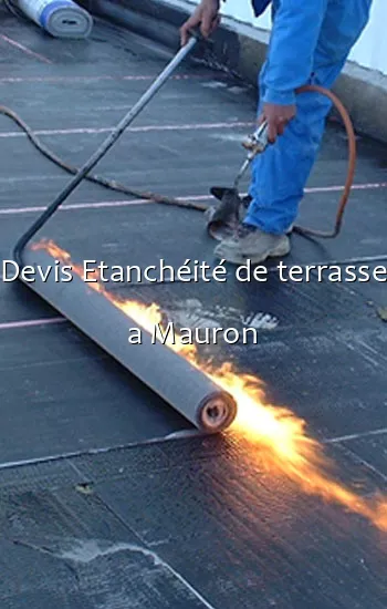 Devis Etanchéité de terrasse a Mauron