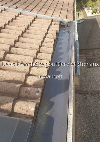 Devis Etanchéité gouttière et chenaux a Mauron