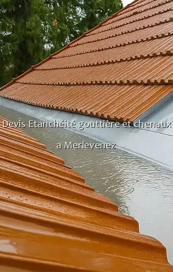 Devis Etanchéité gouttière et chenaux a Merlevenez