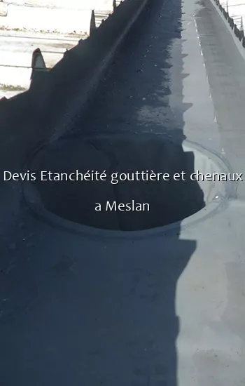 Devis Etanchéité gouttière et chenaux a Meslan