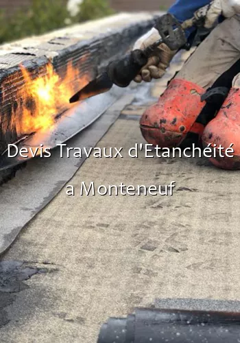 Devis Travaux d'Etanchéité a Monteneuf