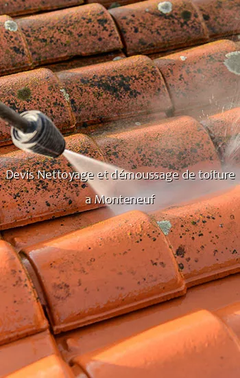 Devis Nettoyage et démoussage de toiture a Monteneuf