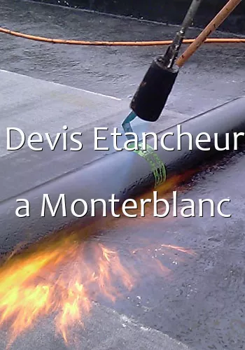 Devis Etancheur a Monterblanc