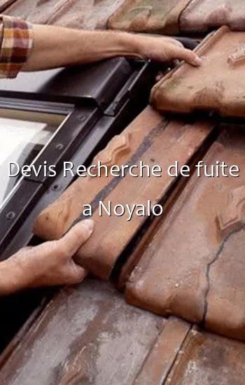 Devis Recherche de fuite a Noyalo