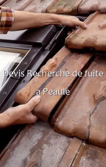 Devis Recherche de fuite a Peaule