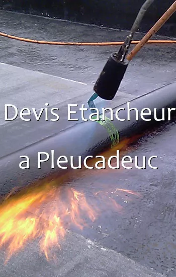 Devis Etancheur a Pleucadeuc