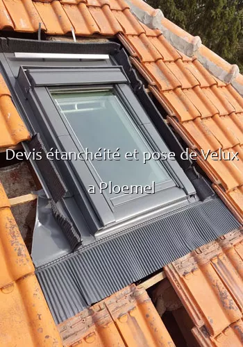 Devis étanchéité et pose de Velux a Ploemel