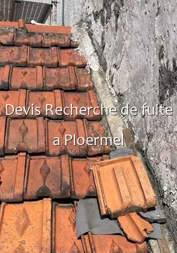 Devis Recherche de fuite a Ploermel