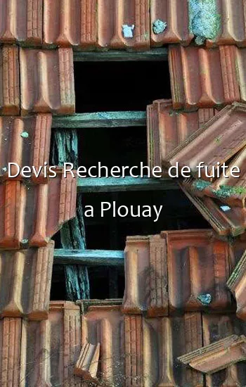 Devis Recherche de fuite a Plouay