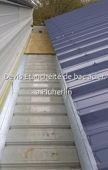 Devis Etanchéité de bac acier a Pluherlin