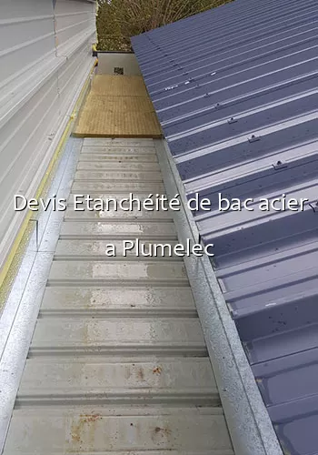 Devis Etanchéité de bac acier a Plumelec
