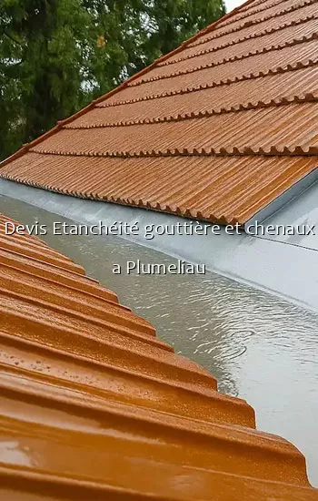 Devis Etanchéité gouttière et chenaux a Plumeliau