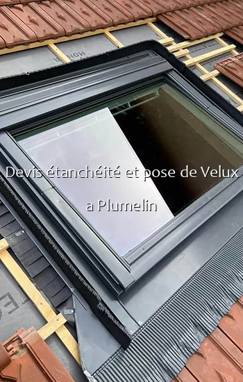 Devis étanchéité et pose de Velux a Plumelin